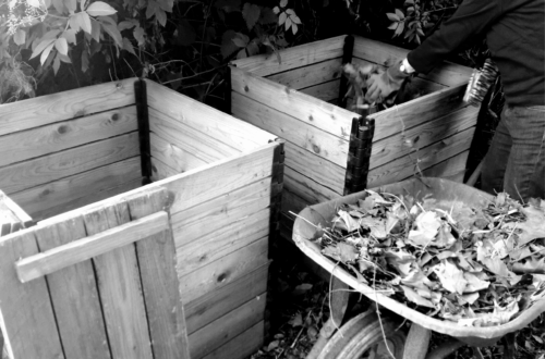 Compost-2